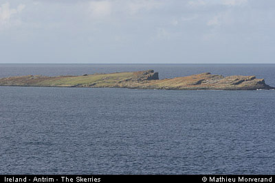theskerries01