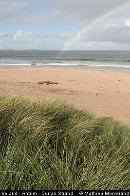 thewhiterocks05strand
