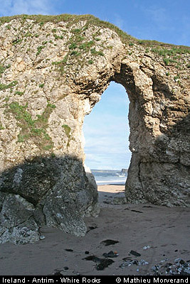 thewhiterocks16
