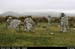 12stonecircle_01