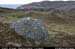 cronagan05