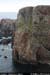 cronagan08