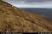 arannorthcoast11