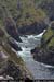 rinrawrosbay21
