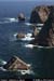 rinrawrosbay27