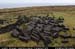 rinrawrosbogs03