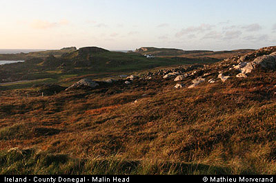 malinhead01