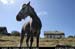 arancowragh6