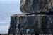 arandunaonghasacliffs13