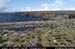 arandoonaghardheadw04