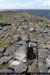 arandoonaghardheadw06