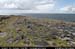 arandoonaghardheadw08