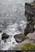 aranwhirpeashead02