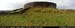 aranduneochlaoutpano03