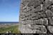 araneoghanachtafromw2