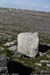 arankilmurvyisthmusland21