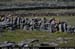 arankilmurvyisthmusland35