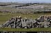 arankilmurvyisthmusland36