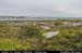 arankilronanbay4