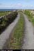 aranmainistircoastway1
