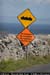 aranmainistirroadsignal