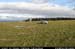 arannalheahead03