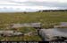 arannalheahead04