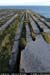 arannalheaheadcliffedge04