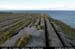 arannalheaheadcliffedge06