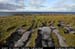 arannalheaheadcliffedge10