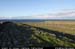 arannalheaheadfromne1