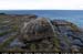 arannalheaheadgranitrock10