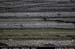 aranoghillfields06
