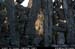 aranoghillstonewalls11