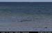 aranportchowrughsealcolony01