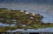 aranportchowrughsealcolony08
