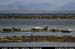 aranportchowrughsealcolony11