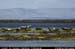 aranportchowrughsealcolony16