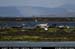 aranportchowrughsealcolony17