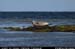 aranportchowrughsealcolony21