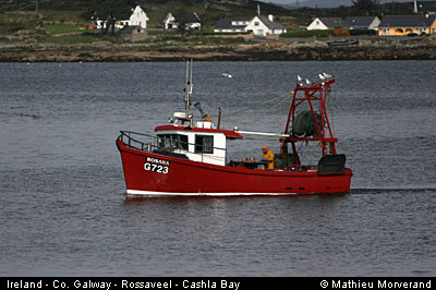 cashlabayboat1