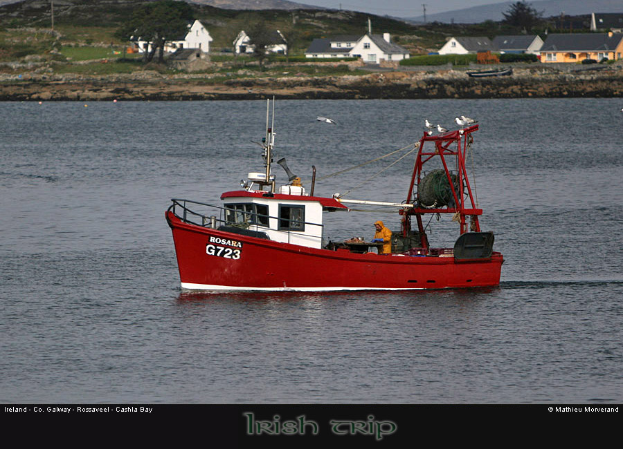 cashlabayboat1