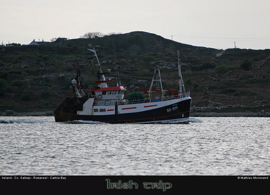 cashlabayboat4