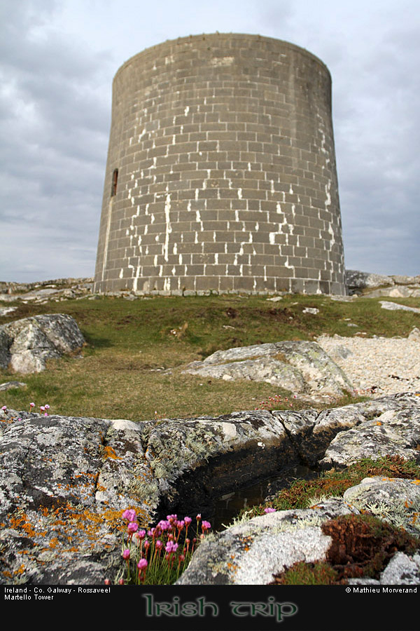 rossaveelmartellotower3