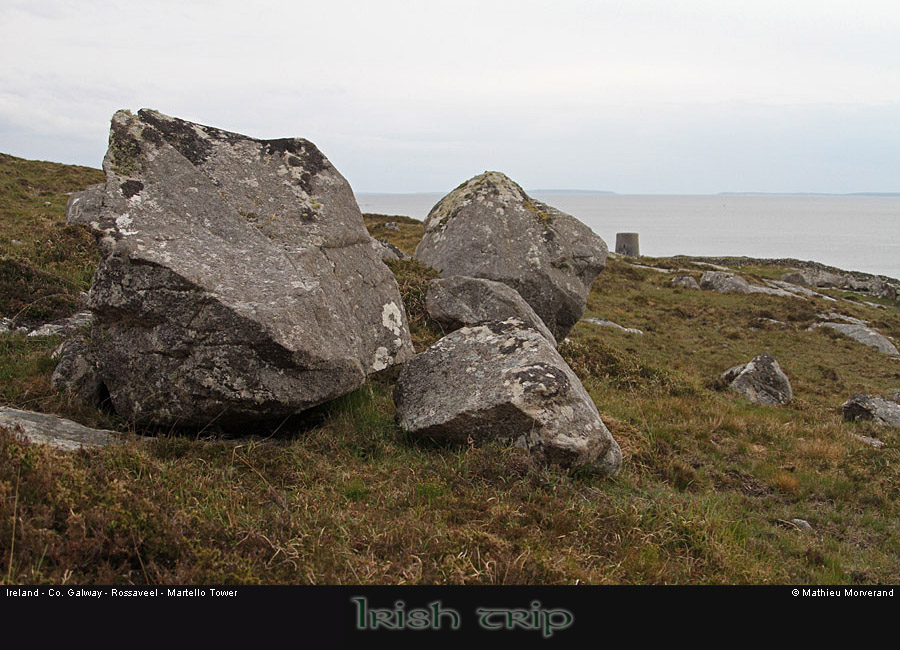rossaveelmartellotowerfromnne2