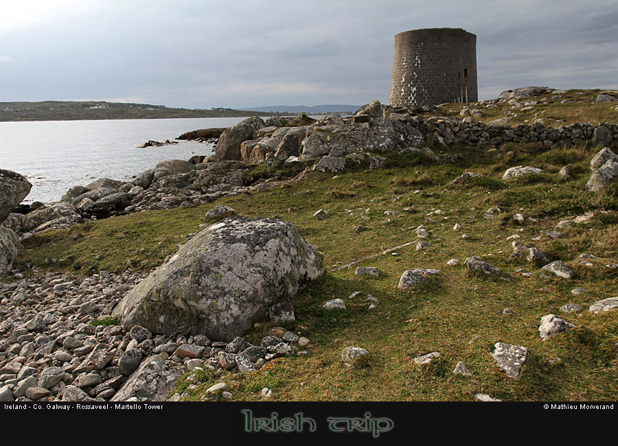 rossaveelmartellotowerfromsse7