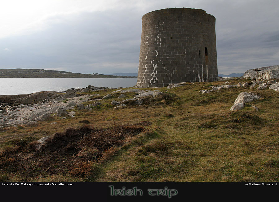 rossaveelmartellotowerfromsse8