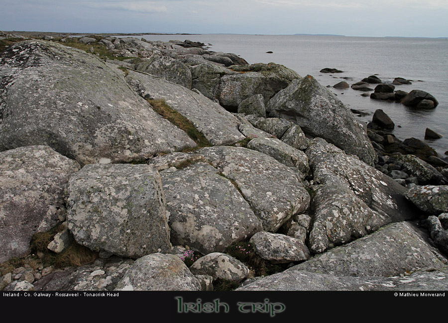 tonacrickhead01