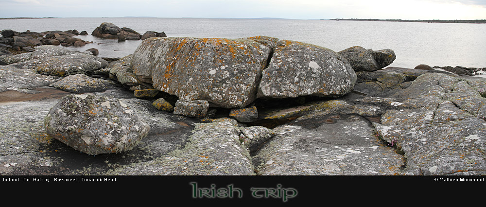 tonacrickheadpano