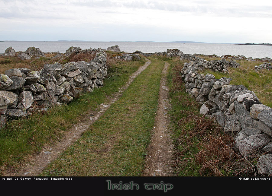 tonacrickheadway2